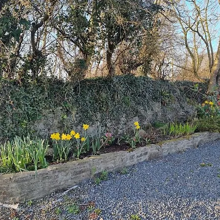 Holiday home Traditional Near The Wild Atlantic Way Kilmihil