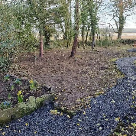 Traditional Near The Wild Atlantic Way