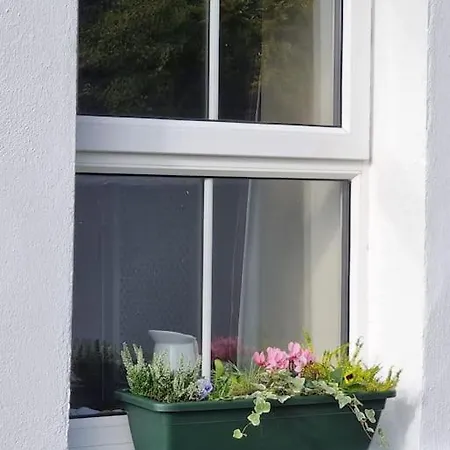 Traditional Near The Wild Atlantic Way