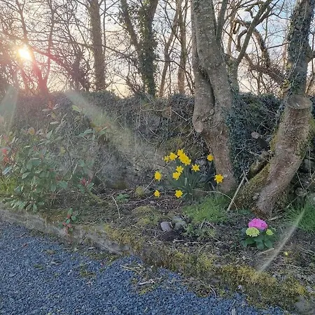 Traditional Near The Wild Atlantic Way * Kilmihil