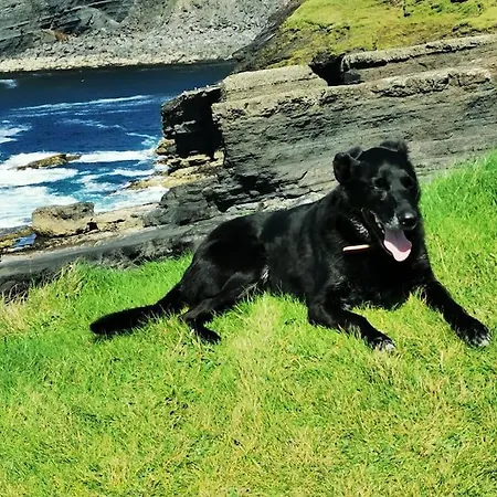 Traditional Near The Wild Atlantic Way *