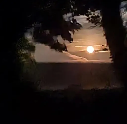 Traditional Near The Wild Atlantic Way *