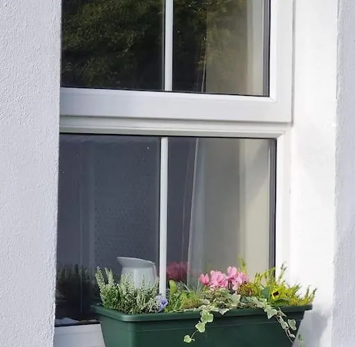 Traditional Near The Wild Atlantic Way