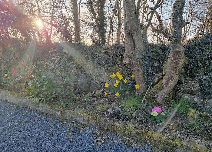 Traditional Near The Wild Atlantic Way * Kilmihil