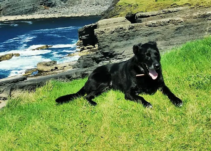 Traditional Near The Wild Atlantic Way *